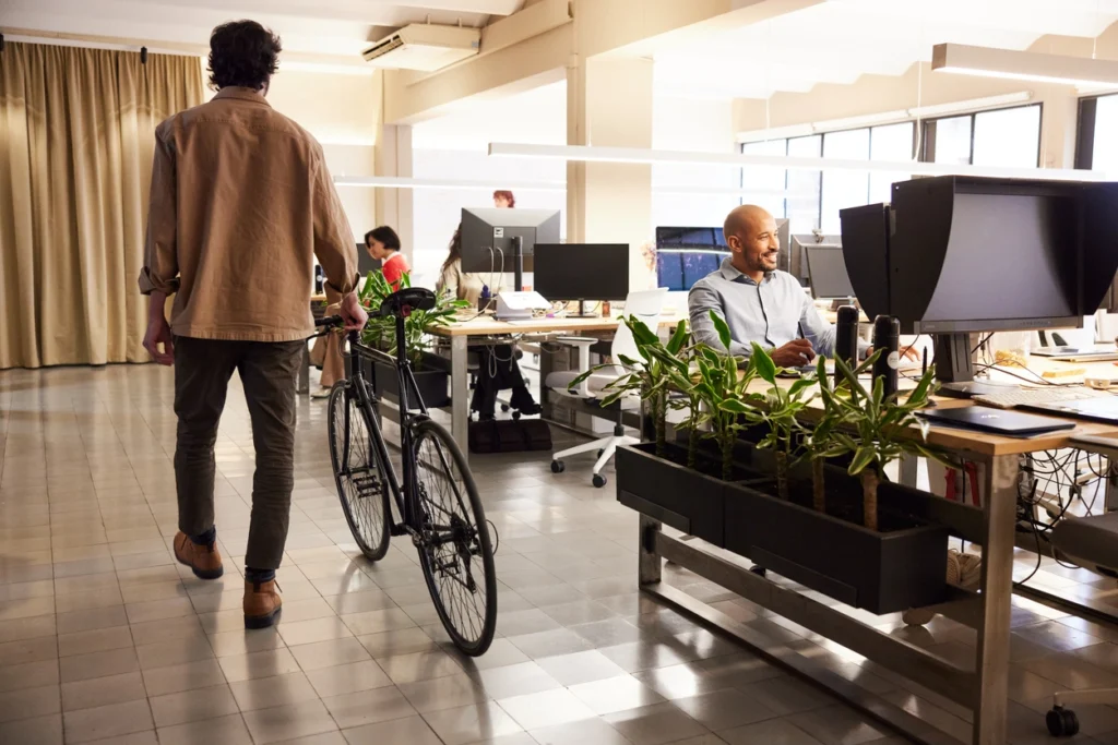 leasing professionnel